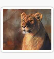 Portrait of a Lioness Sticker