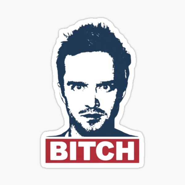 Bitch Jesse Pinkman Sticker For Sale By Animestickerart Redbubble