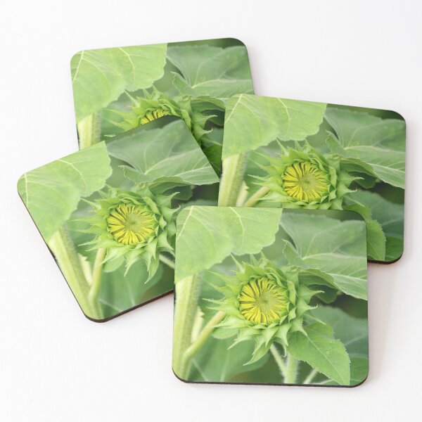 Item preview, Sunflower Head designed and sold by VgBingi.
