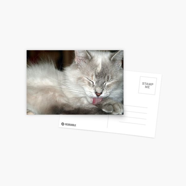 Item preview, Grooming designed and sold by kimbarose.