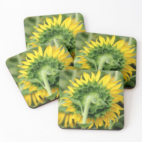 Item preview, Sunflower Head designed and sold by VgBingi.