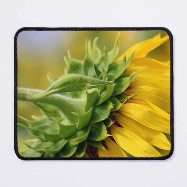Item preview, Sunflower Head designed and sold by VgBingi.