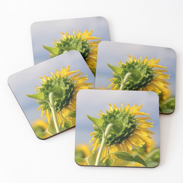 Item preview, Sunflower Head designed and sold by VgBingi.