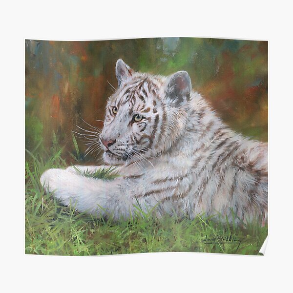 Framed Canvas Art (White Floating Frame) - Baby Tiger by Watercolor Luv ( Animals > Wildlife > Wild Cats > Tigers art) - 26x18 in