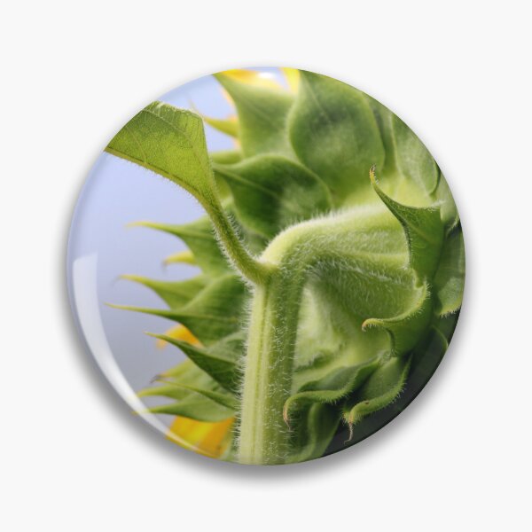 Item preview, Sunflower Head designed and sold by VgBingi.