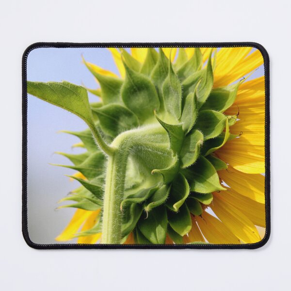 Item preview, Sunflower Head designed and sold by VgBingi.