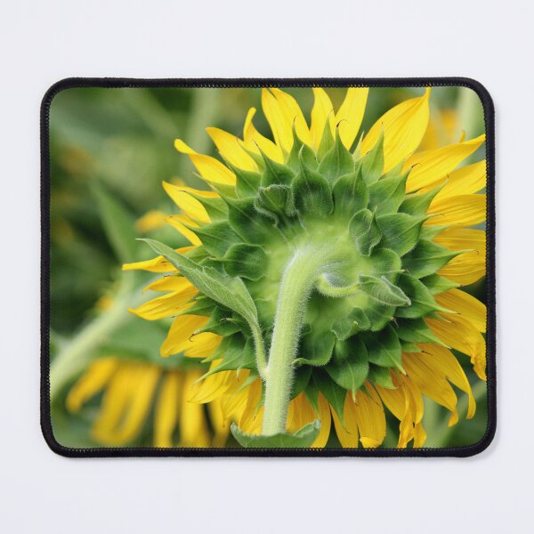 Item preview, Sunflower Head designed and sold by VgBingi.