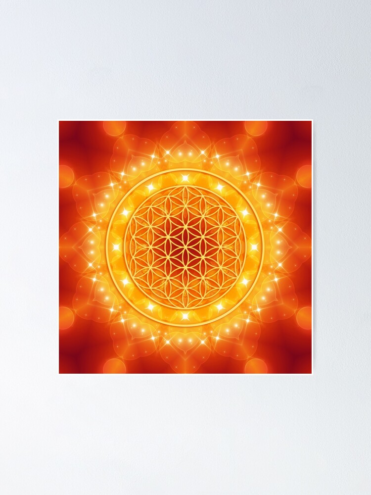 flower of life light