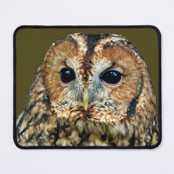 Item preview, Tawny Owl designed and sold by Dalyndigital Photography.