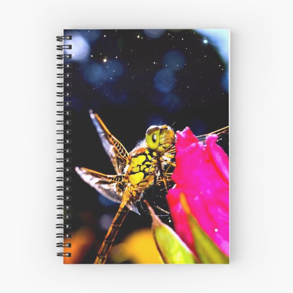 Item preview, Dragonfly Stars (MKW-I.6) designed and sold by Katrina Morgan.