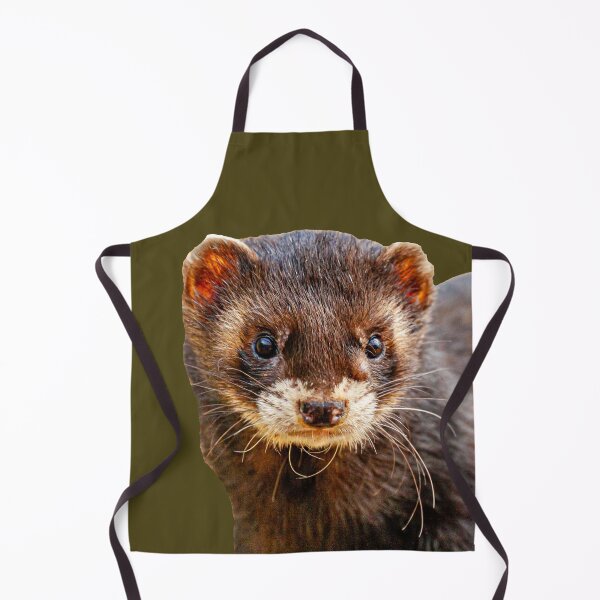 Item preview, Polecat Ferret designed and sold by Dalyndigital Photography.