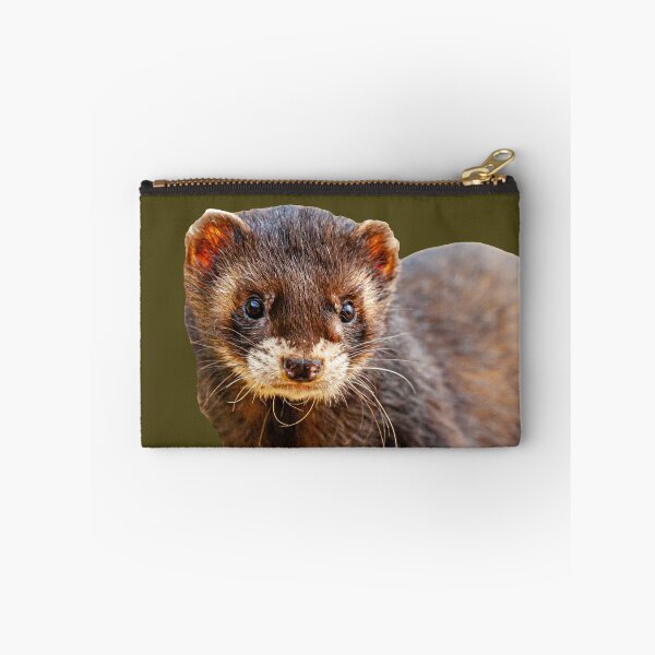 Item preview, Polecat Ferret designed and sold by Dalyndigital Photography.