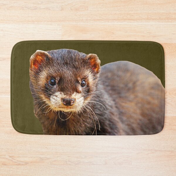 Item preview, Polecat Ferret designed and sold by Dalyndigital Photography.