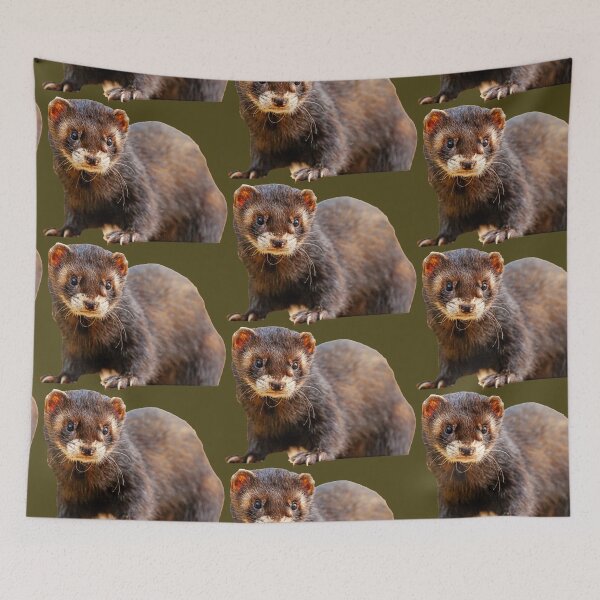 Item preview, Polecat Ferret designed and sold by Dalyndigital Photography.