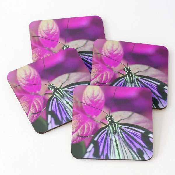 Item preview, Butterfly Pink (MKW-I.2) designed and sold by Katrina Morgan.
