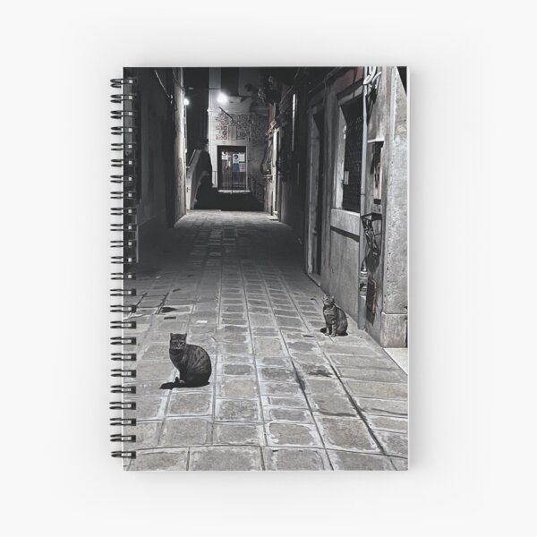 Italy: Ventian Cats Spiral Notebook