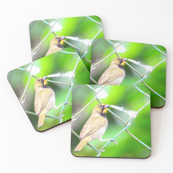 Item preview, Yellow-Faced Grassquit and Ceiba Fluff designed and sold by Barnbk02.