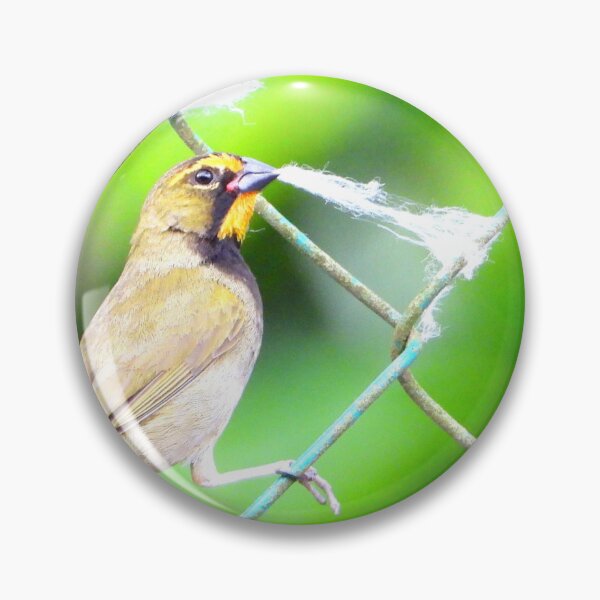 Item preview, Yellow-Faced Grassquit and Ceiba Fluff designed and sold by Barnbk02.
