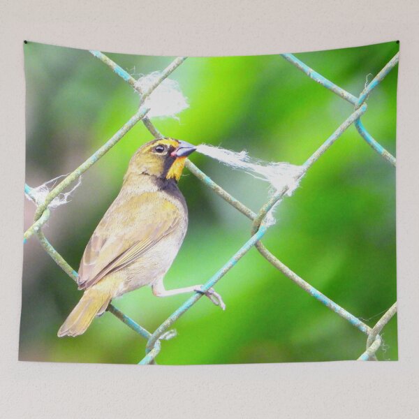Item preview, Yellow-Faced Grassquit and Ceiba Fluff designed and sold by Barnbk02.