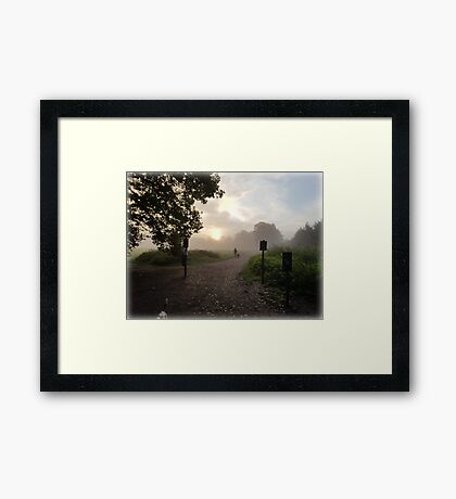 Morning mist Framed Print