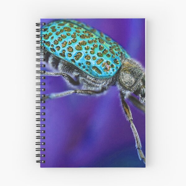 Item preview, Beetle (MKW-I.9) designed and sold by Katrina Morgan.