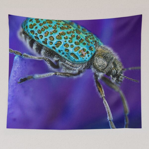 Item preview, Beetle (MKW-I.9) designed and sold by Katrina Morgan.