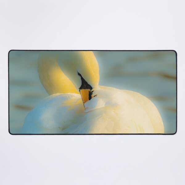 Item preview, Golden hour preening Swan designed and sold by Dalyndigital Photography.