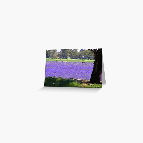 Item preview, Purple Swathe designed and sold by Jan Richardson.