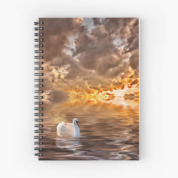 Item preview, Swan at Sunrise designed and sold by Kathy Weaver.