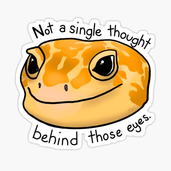 Not A Single Thought Behind Those Eyes Sticker For Sale By Tiffilee Redbubble