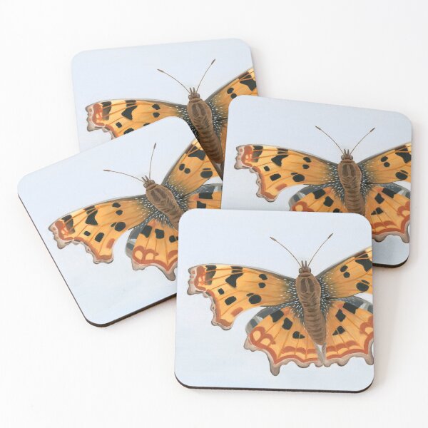 Item preview, Comma Butterfly Natural History Illustration Oil Painting designed and sold by Isobelle Smith.