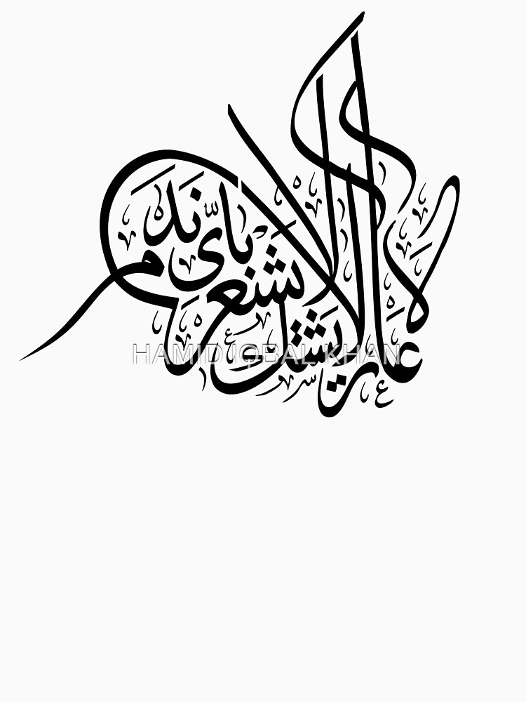 No shame No doubts No regrets by hamidsart