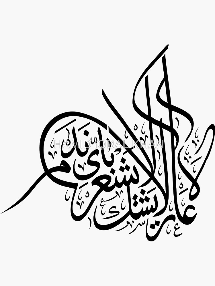 No shame No doubts No regrets by hamidsart