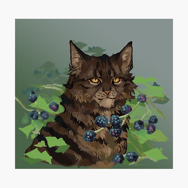 Item preview, Bramblestar designed and sold by LiamRed.