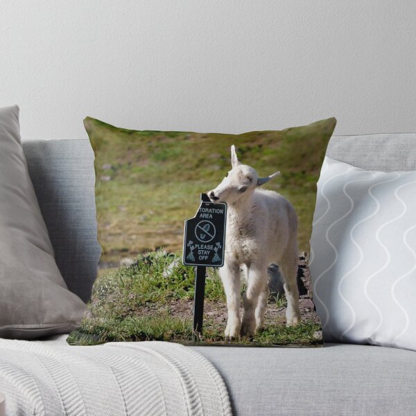 Item preview, Please Don't Eat the Sign - Glacier National Park, Montana designed and sold by Kathy Weaver.