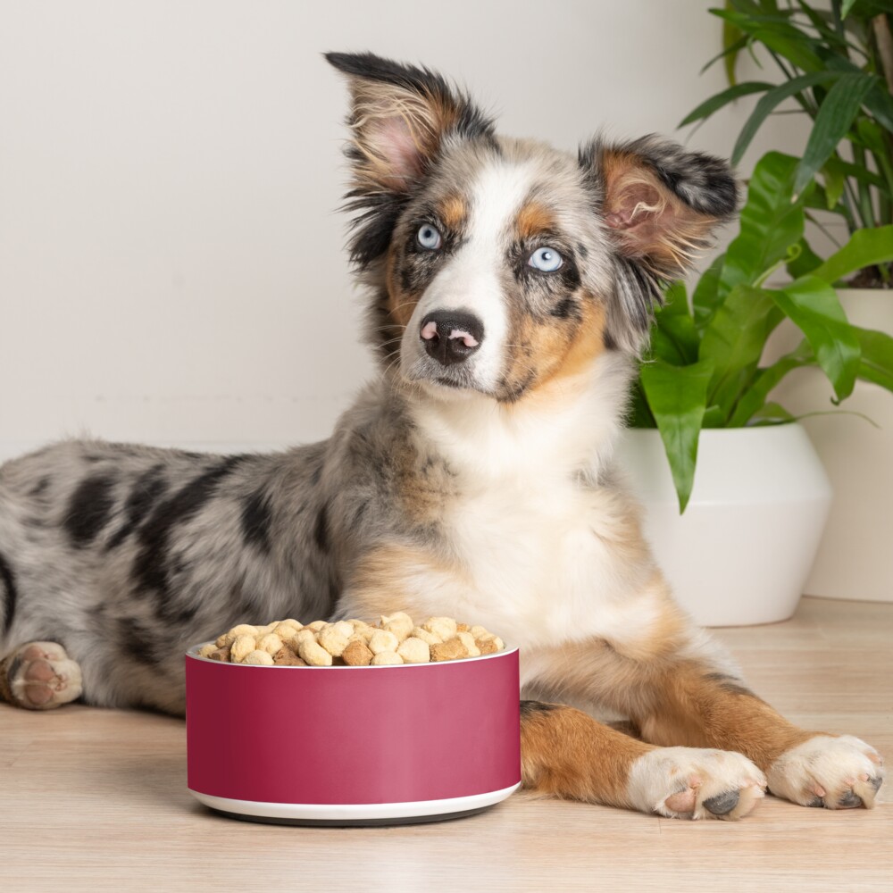Item preview, Pet Bowl designed and sold by Angees.