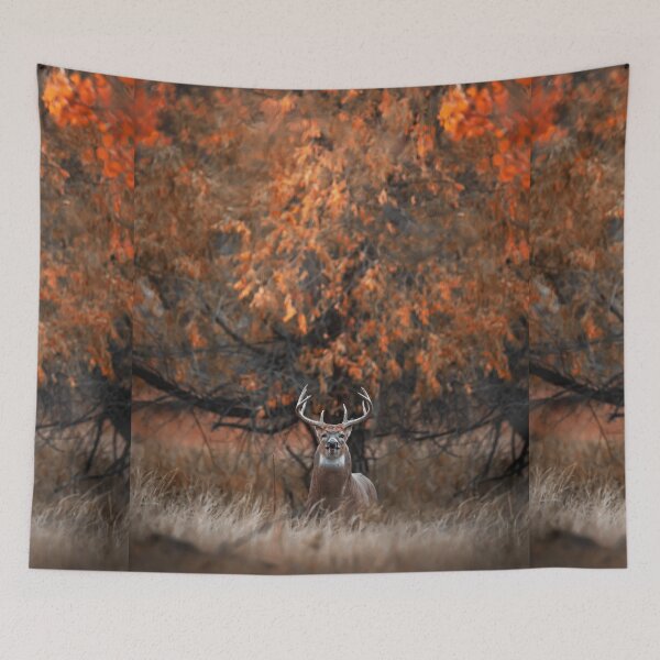 Item preview, Big White Tailed Buck designed and sold by Elevated Imaging .