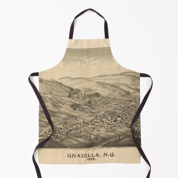 Item preview, Unadilla, New York (1887) designed and sold by allhistory.