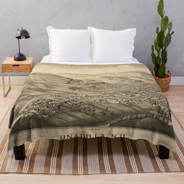 Item preview, Unadilla, New York (1887) designed and sold by allhistory.