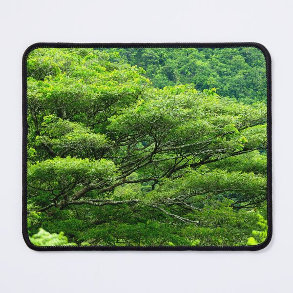 Item preview, Shades of Green designed and sold by Vicki Pelham.