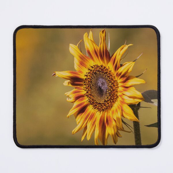 Item preview, Sunflower 2019-1 designed and sold by Thomasyoung.