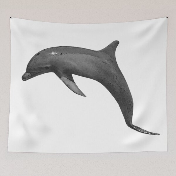 Item preview, swimming bottlenose dolphin, small whale, sea, animal themed bathroom designed and sold by Kirei-Lily.
