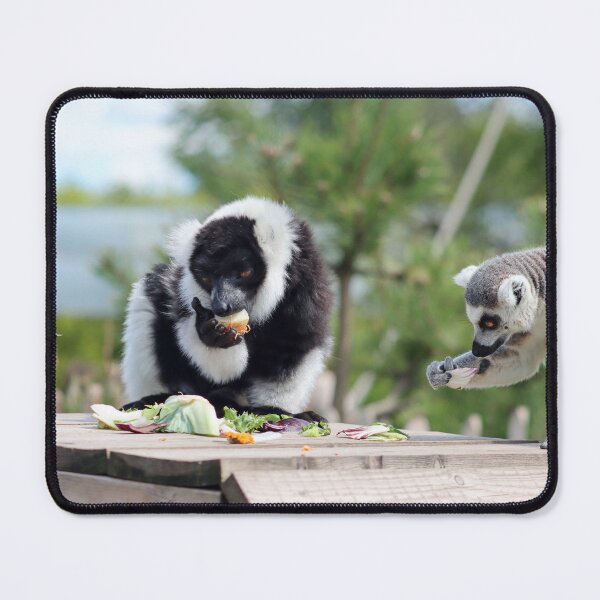 Item preview, Lemur feast designed and sold by GreyFeatherPhot.