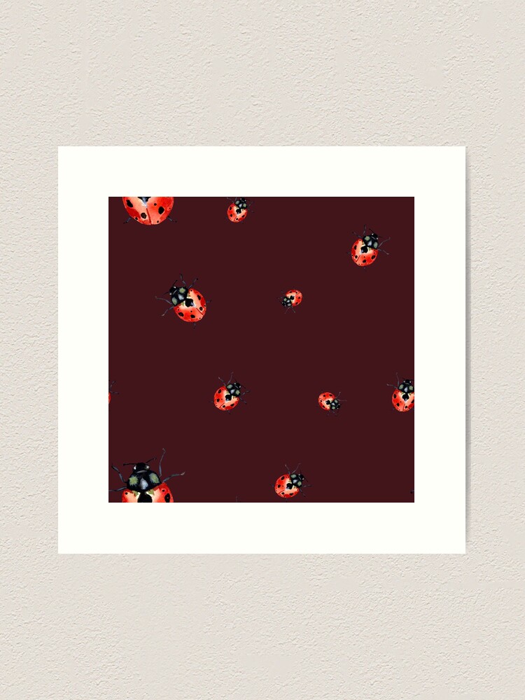 Red Ladybug - Learn About Nature