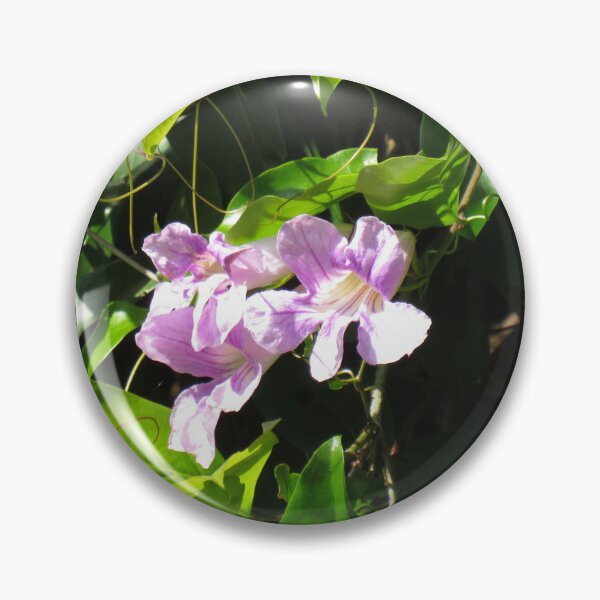Item preview, Argentine trumpet vine flowers designed and sold by greentiger1.