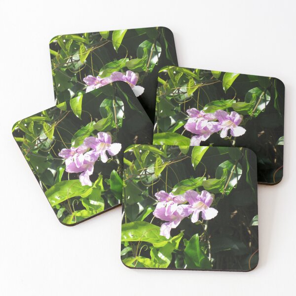 Item preview, Argentine trumpet vine flowers designed and sold by greentiger1.