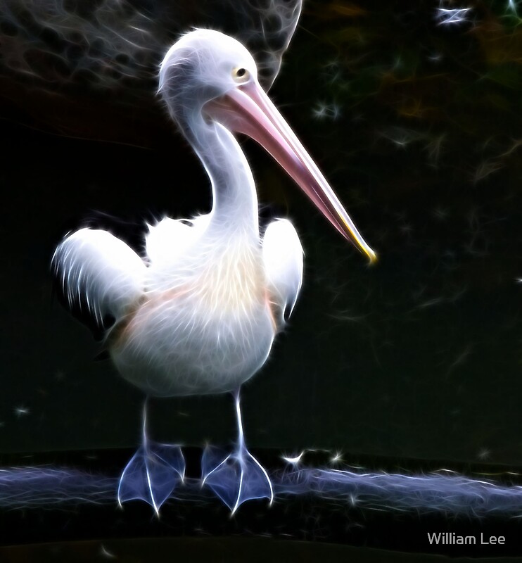 "Big Bird, Flappy Feet" by William Lee | Redbubble