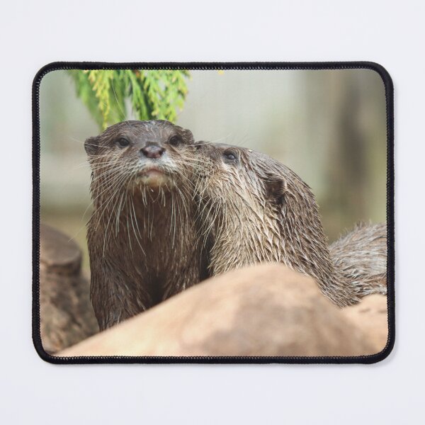 Item preview, Otter kiss designed and sold by GreyFeatherPhot.