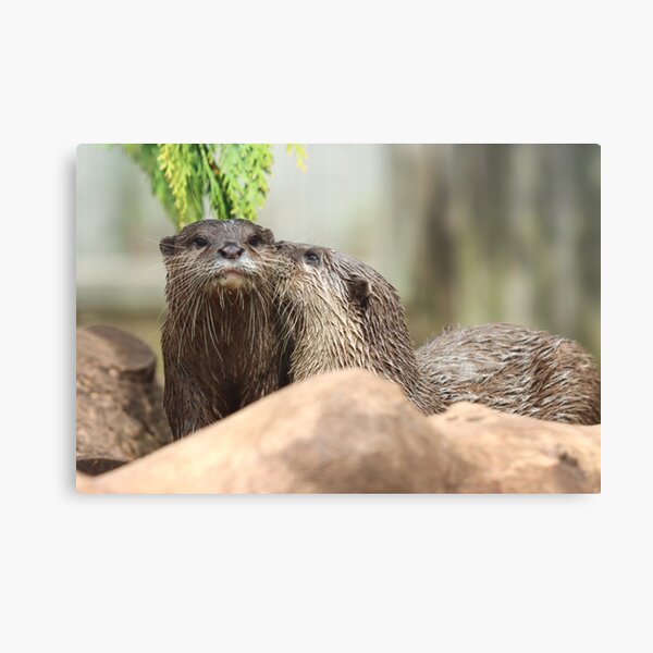 Giant river otter biting fish in river Throw Pillow