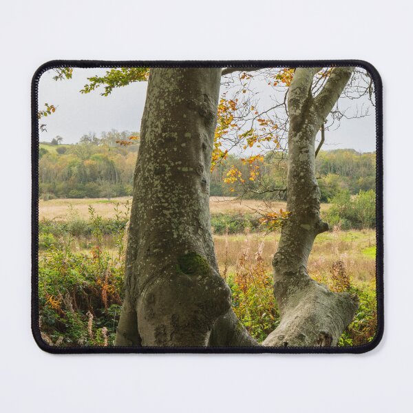 Item preview, Autumn Tree Landscape Scene designed and sold by Harmony Of The Mind.
